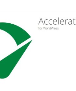 Seraphinite Accelerator 2.29