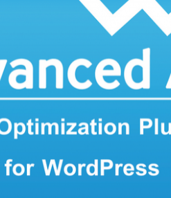 Advanced Ads Pro 3.0.11