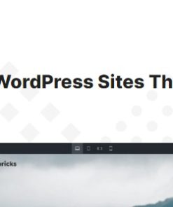 Bricks Theme 2.3.3 - with built In Builder