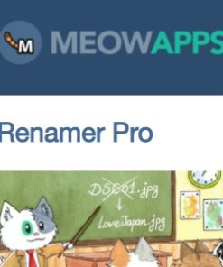 Media File Renamer Pro 6.2.5