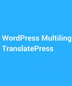 TranslatePress 3.2.1 - Multilingual (Business)