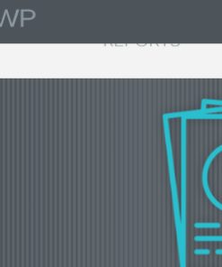 WP Client Reports Pro 1.0.19