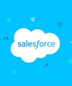 WP ERP Salesforce Contacts Sync 1.1.1