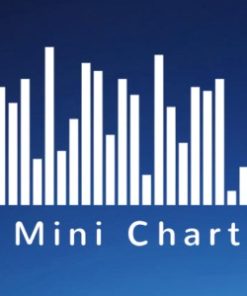 WP-Statistics Mini Chart 1.7.5 - Addon
