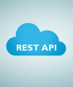 WP-Statistics REST API 1.3.2 - Addon