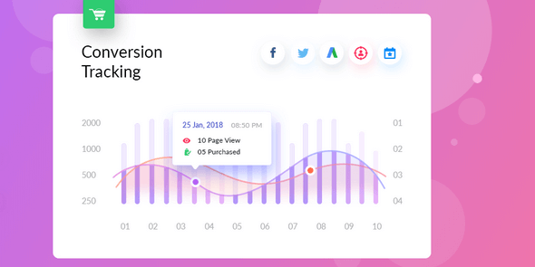 WeDevs WooCommerce Conversion Tracking Pro 1.0.6