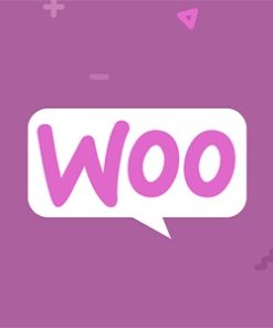 WP ERP WooCommerce 1.3.1