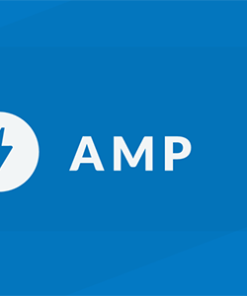 Transposh for AMP 1.0.0