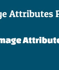Auto Image Attributes Pro 4.5