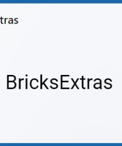 BricksExtras 1.7.0 - The Bricks Addon