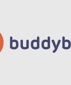 BuddyBoss Wall 1.3.8