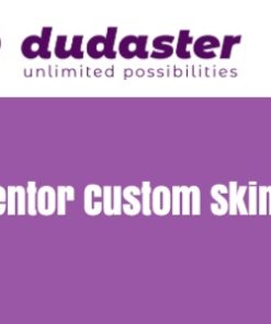 Elementor Custom Skin Pro 4.2.1