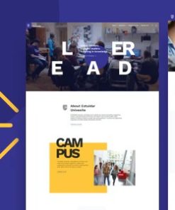 Estudiar 41 - College University WordPress