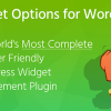 Extended Widget Options 5.3.4 - All-in-One WordPress Widget Control