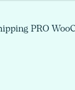 Flexible Shipping Pro WooCommerce 4.0.16