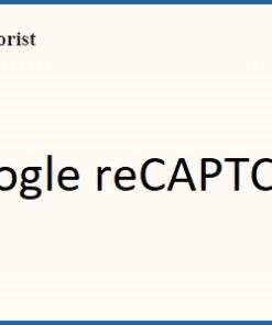 Directorist Google reCAPTCHA 2.2.1