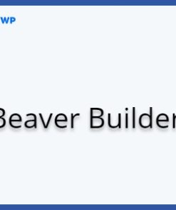 WP Grid Builder Beaver Builder 1.2.1