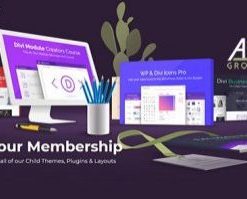 AGS Migrate Divi Theme Settings 1.1