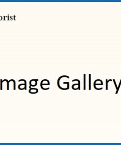 Directorist Image Gallery 2.2
