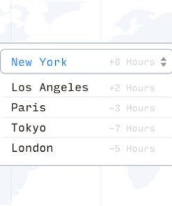 LatePoint TimeZone Selector Addon 1.1.4
