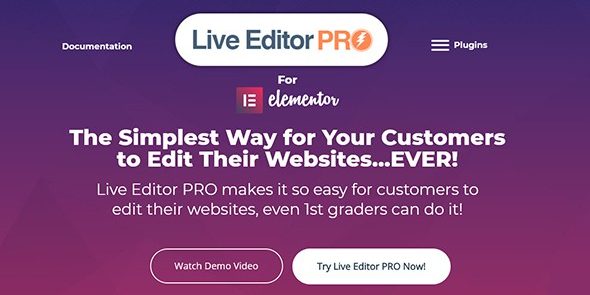 Live Editor PRO for Elementor 1.4.0