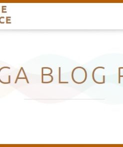 Theme Palace Mega Blog Pro 1.2.4