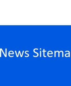 AIOSEO News Sitemap 1.0.21