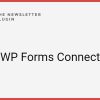 Newsletter WP Forms Connect 1.4.1