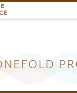 Theme Palace Onefold Pro 3.1