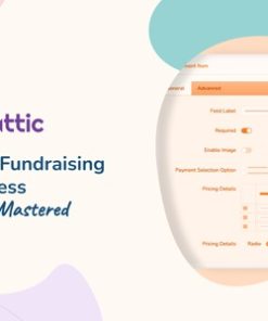 Paymattic Pro 4.6.11 - WordPress Payment and Donation