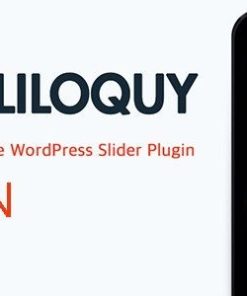 Soliloquy Protection Addon 1.1.1