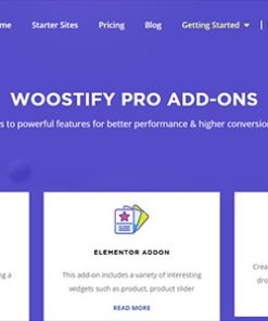 Woostify Theme 1.9.1