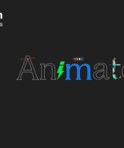 Animation Addons for Elementor Pro 2.6.4