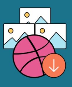 Envira Gallery Dribbble Addon 1.0.0